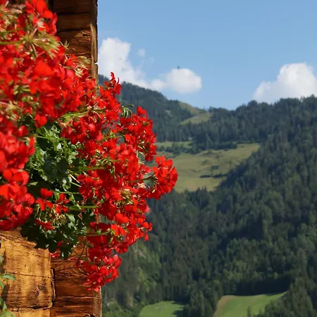 Casa vacanze 